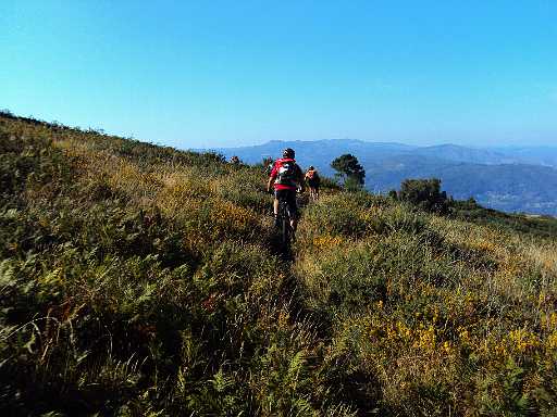 490-  Ultimas trialeiras.jpg